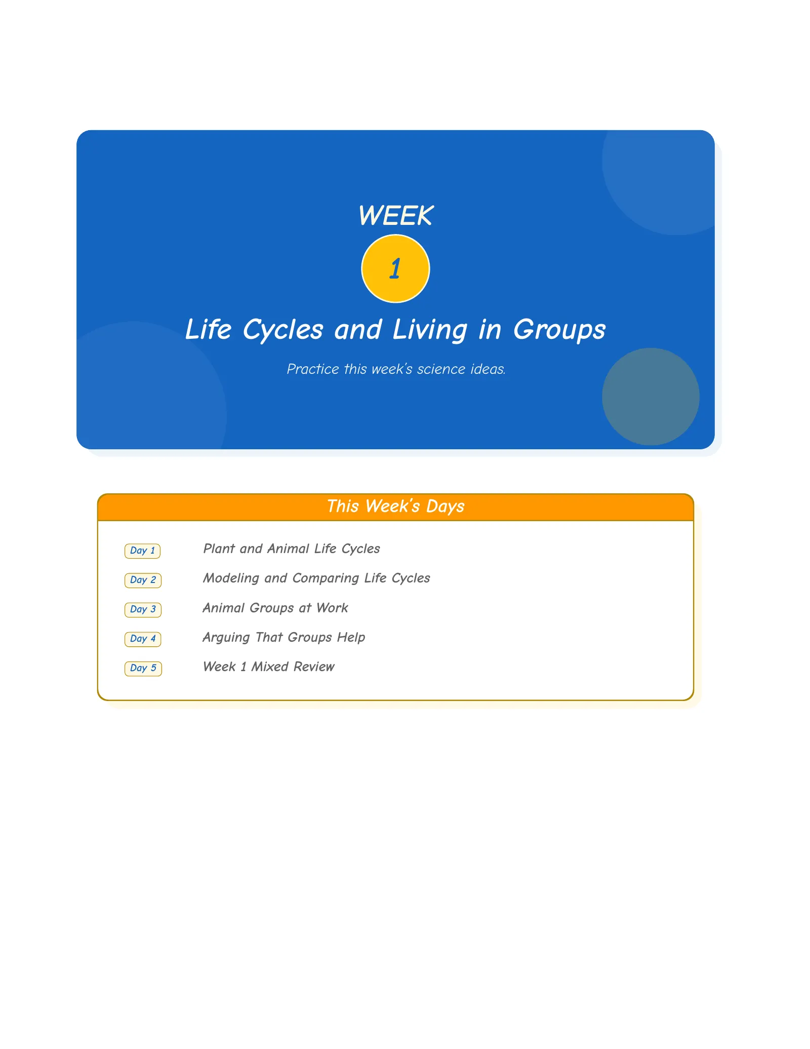 Representative ViewMath book learning or practice page